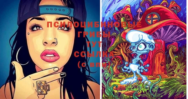 стафф Богородицк