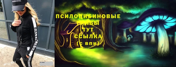 PSILOCYBIN Богданович